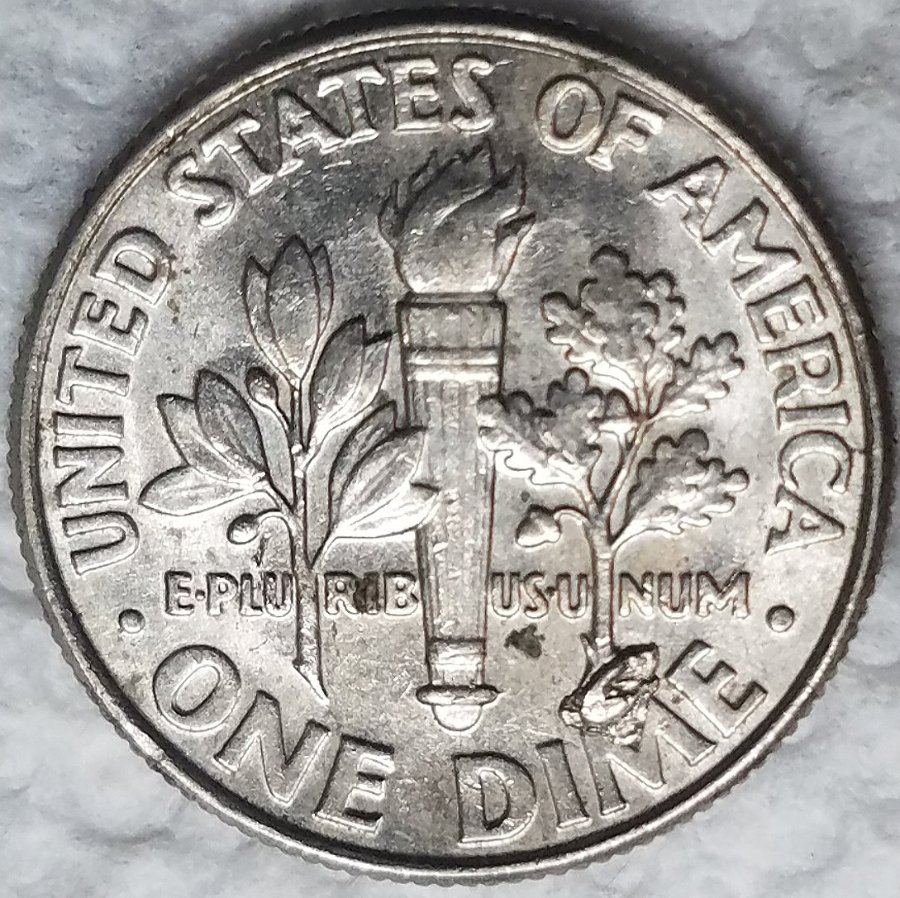 2007-P-Roosevelt-Dime-Internal-Die-Break-On-Reverse-At-Letter-
